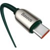 Kabel USB-C k displeji USB-C Baseus, 100 W, 2 m (zelený)