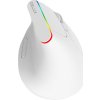 Bezdrátová vertikální myš Delux M618C 2,4G 1600DPI RGB (bílá)