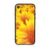 ven glass wz2 d