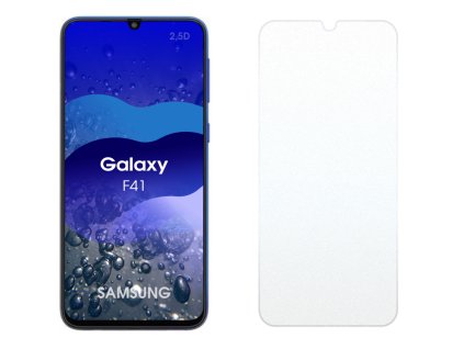 Samsung Galaxy F41