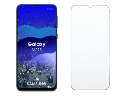 Samsung Galaxy M21s