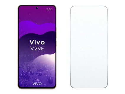 62076 vivo v29e