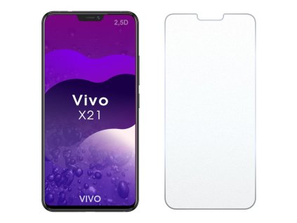 Vivo X21