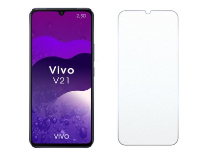 Vivo V21