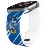 Apple watch řemínek Harry Potter - Havraspár kravata (Rozměr 42/44/45/46/49mm)