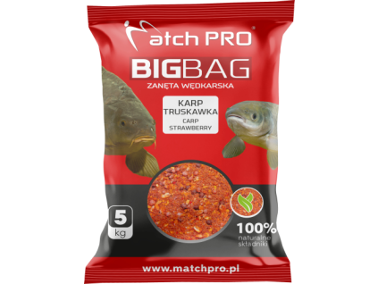 MOCKUP BIG BAG KARP TRUSKAWKA 2023