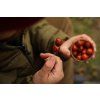 Nikl Boilies v dipu Chilli & Peach 250ml 20mm