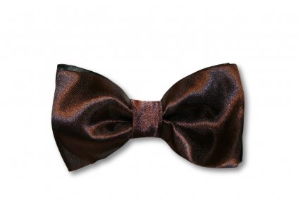 Hnědý motýlek s černým podkladem