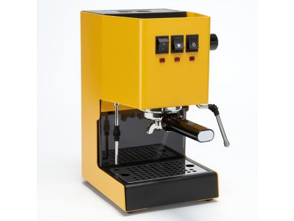 gaggia e24y