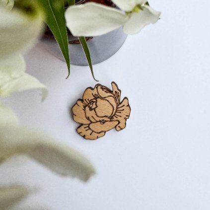 Pivonka drevena broz