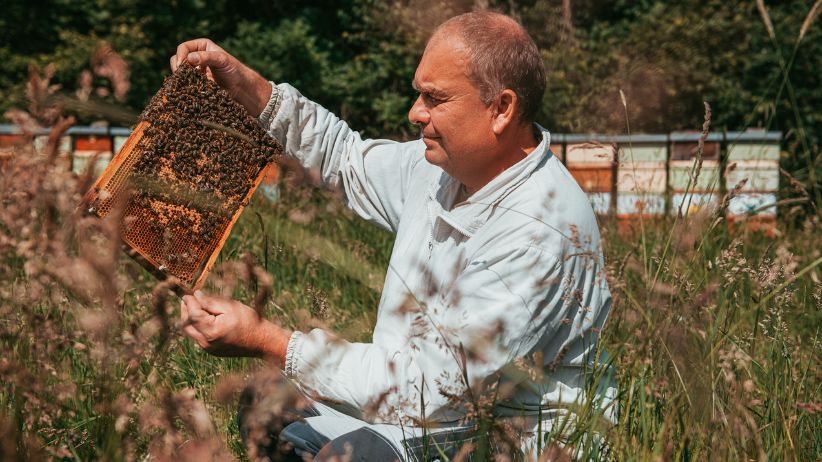 6+1 důvodů, proč podporovat svého včelaře