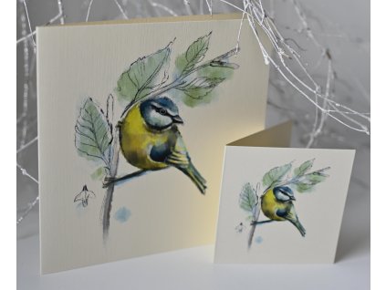 Přáníčko "Sýkorka" 7,5cm x 7,5cm