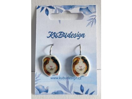 Ilustrované morče 1