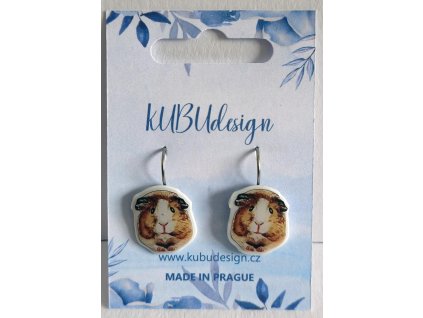 Ilustrované morče 2