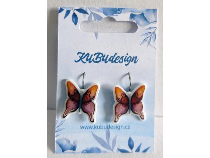 Ilustrované motýl 1