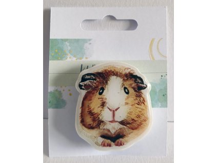 Ilustrované morče 1