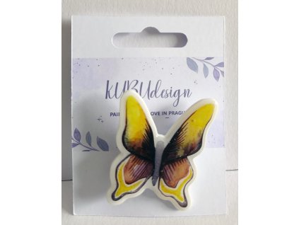 Ilustrované motýl 2