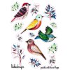 samolepky ptacci vetvicky
