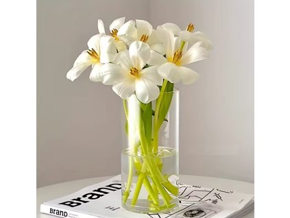 image 2025 12 16T090701.601