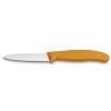 cut 6 7636 l119 s1