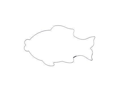 Vykrajovačka ryba