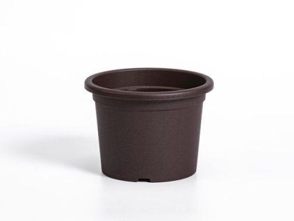 obal d17cm Narcis Čoko