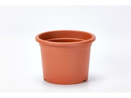 obal d23cm Narcis TER