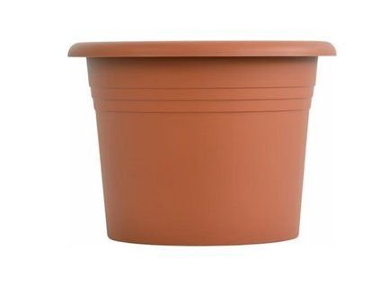 obal d11cm Narcis TER
