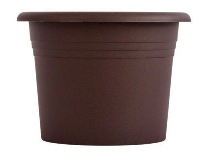 obal d11cm Narcis ČOKO