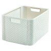 Box úložný Curver Rattan Style L 36 9729