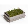 Nakličovací miska MICROGREENS šedá 36 17631