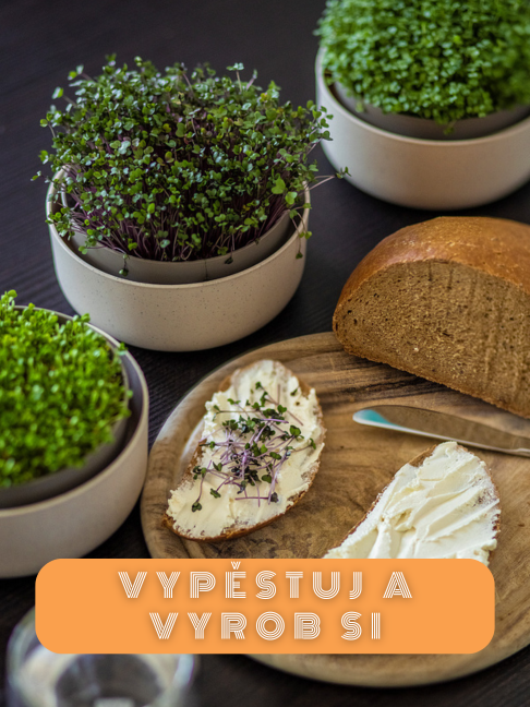 Vypěstuj a vyrob si