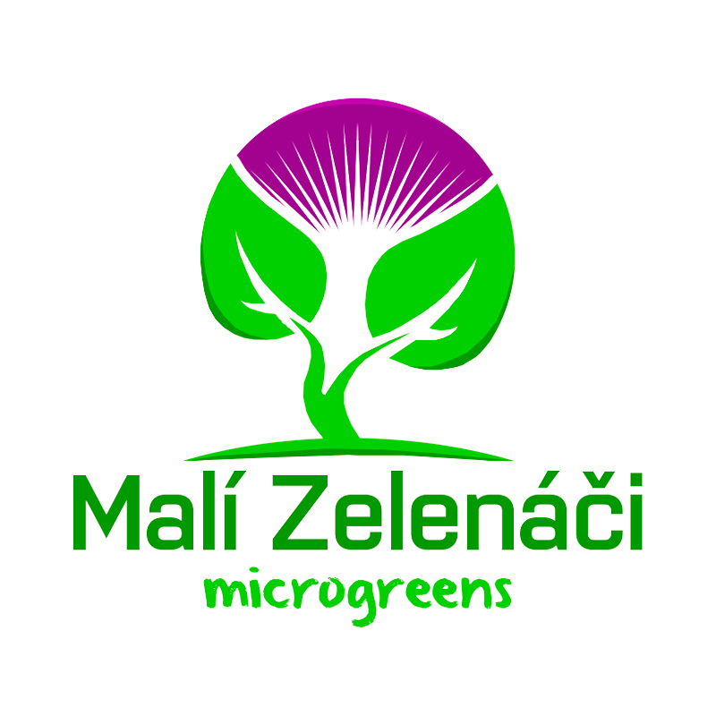 logo_kruh_2020-hq-1