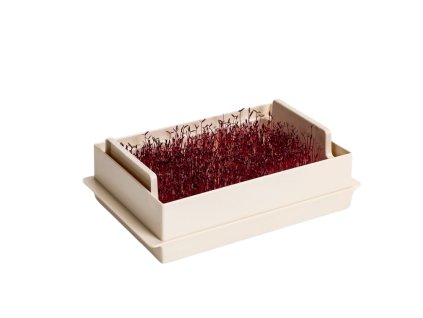 mikrogreens miska na pěstování