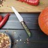 Malý kuchyňský nůž – 10 cm, javor, ocel N690