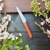 Malý kuchyňský nůž – 10 cm, lace sheoak, ocel N690