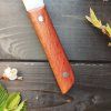 Malý kuchyňský nůž – 10 cm, lace sheoak, ocel N690