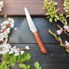 Malý kuchyňský nůž – 10 cm, lace sheoak, ocel N690