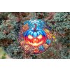 Elegantní 3D větrný spinner s motivem halloweenské dýně. Odolný, otočný závěs pro zahradu i interiér. Krásná dekorace a skvělý tip na originální dárek 3