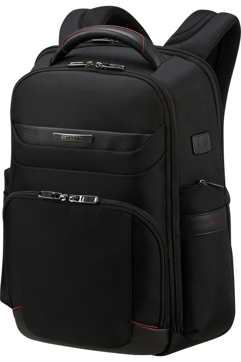 Samsonite PRO-DLX 6 Batoh na notebook 15.6" Černý