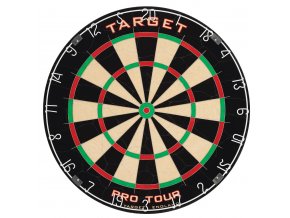 PRO TOUR DART BOARD Main