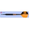 raymond barneveld rvb darts black brass target soft tip hr