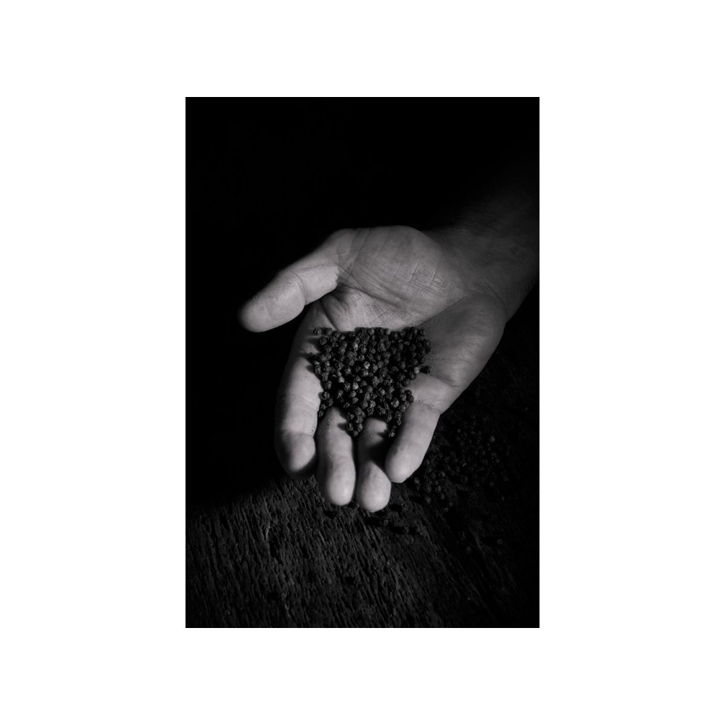 Pfeffer MELANGE POISONS 14 g, Peugeot