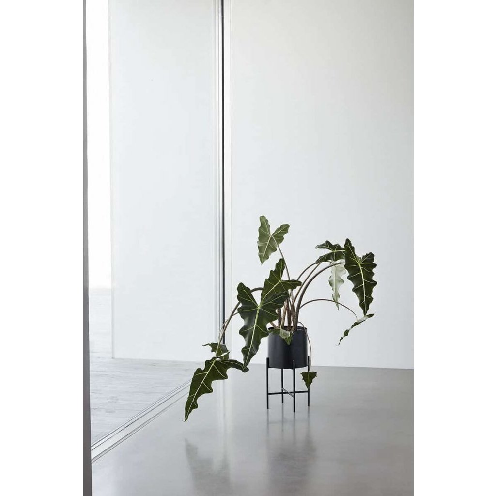 Blumenständer AIRY,2er-Set, 55 cm/45 cm, schwarz, Hübsch