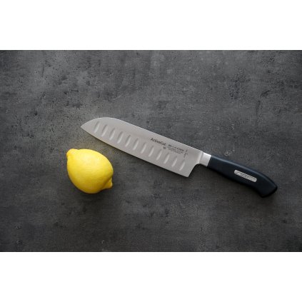 Küchenmesser ACTIVECUT mit Ständer, 4-teilig, schwarz, rostfreier Stahl, F.DICK