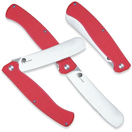 Taschenmesser EASY 11 cm, rot, Dellinger