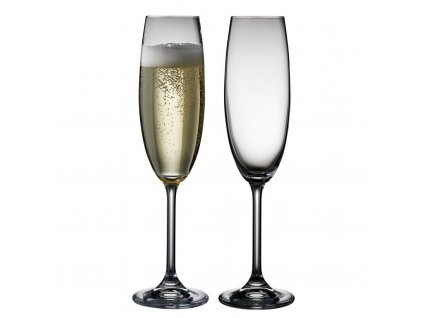 Champagnerglas 220 ml, 2er-Set, Bitz