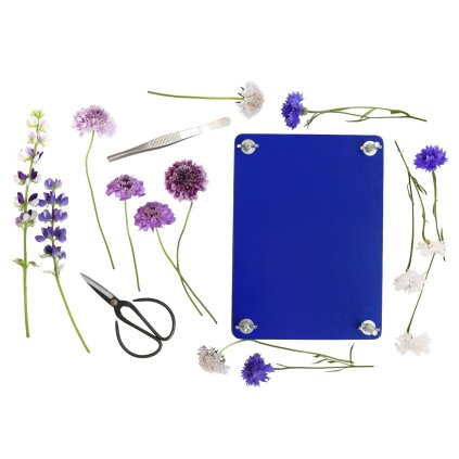 Blumenpressset, blau, Printworks