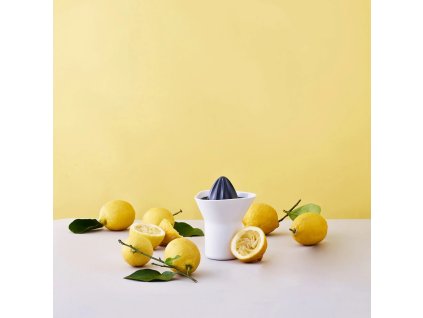 Zitruspresse 330 ml, weiß, kunststoff, RIG-TIG