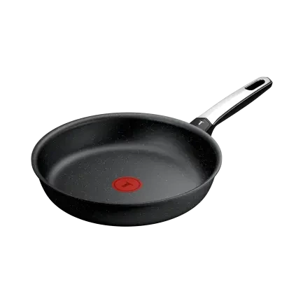 231049 panev expertise 26 cm titan tefal
